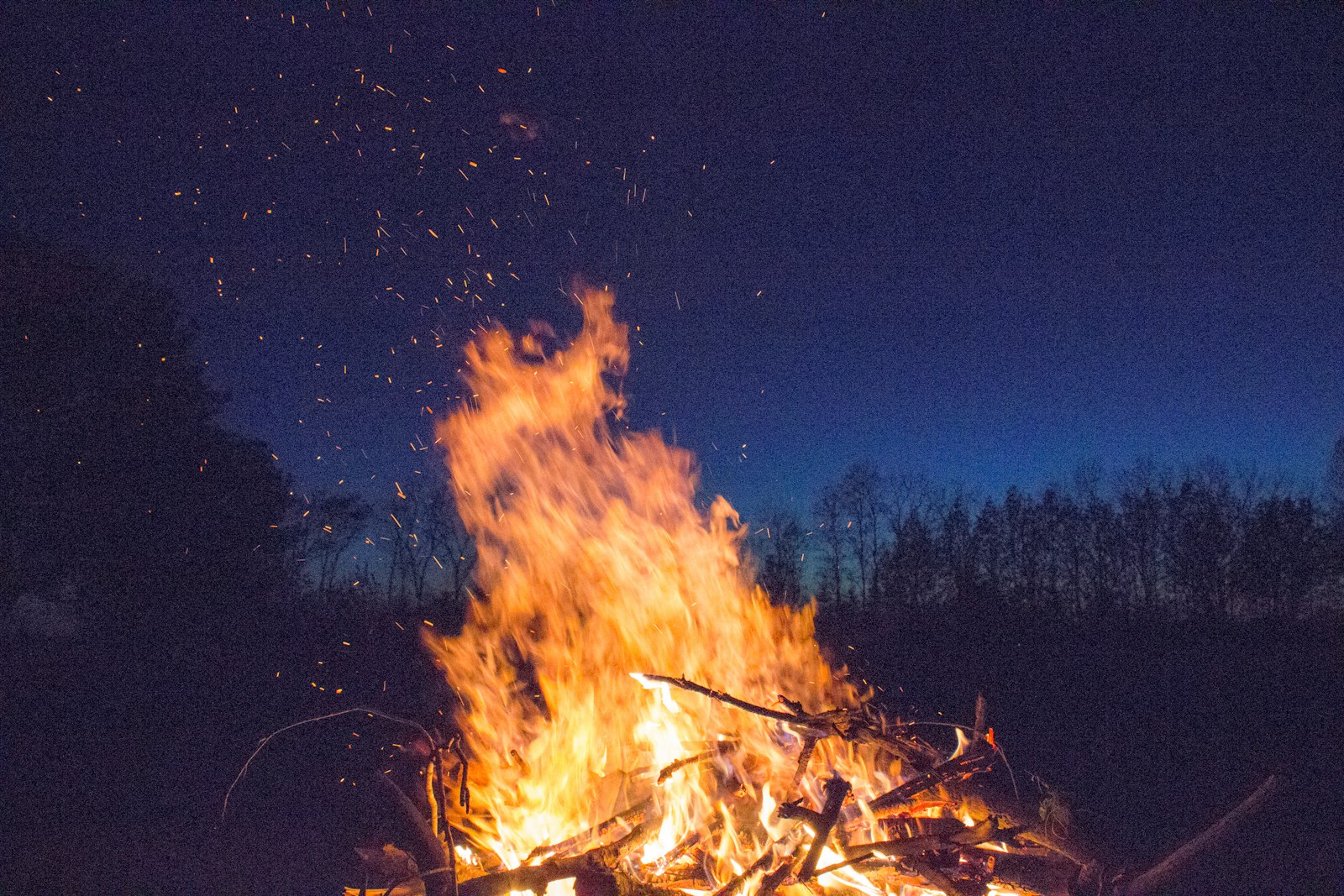 bonfire with silhouette of trees in distant