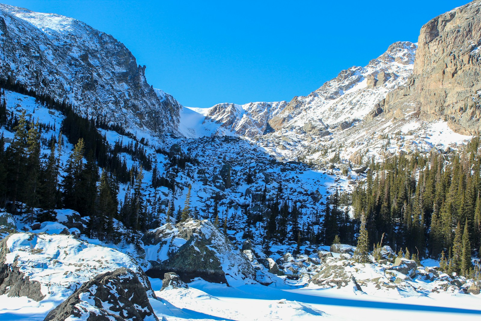 green pine trees on snow covered mountain during daytime