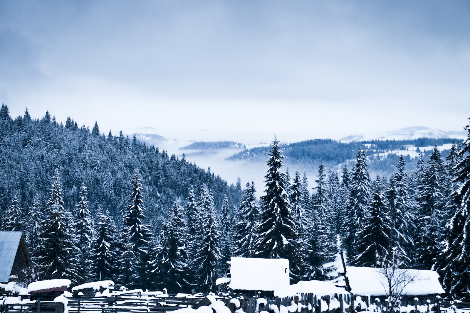 a snow covered mountain with a forest in the background