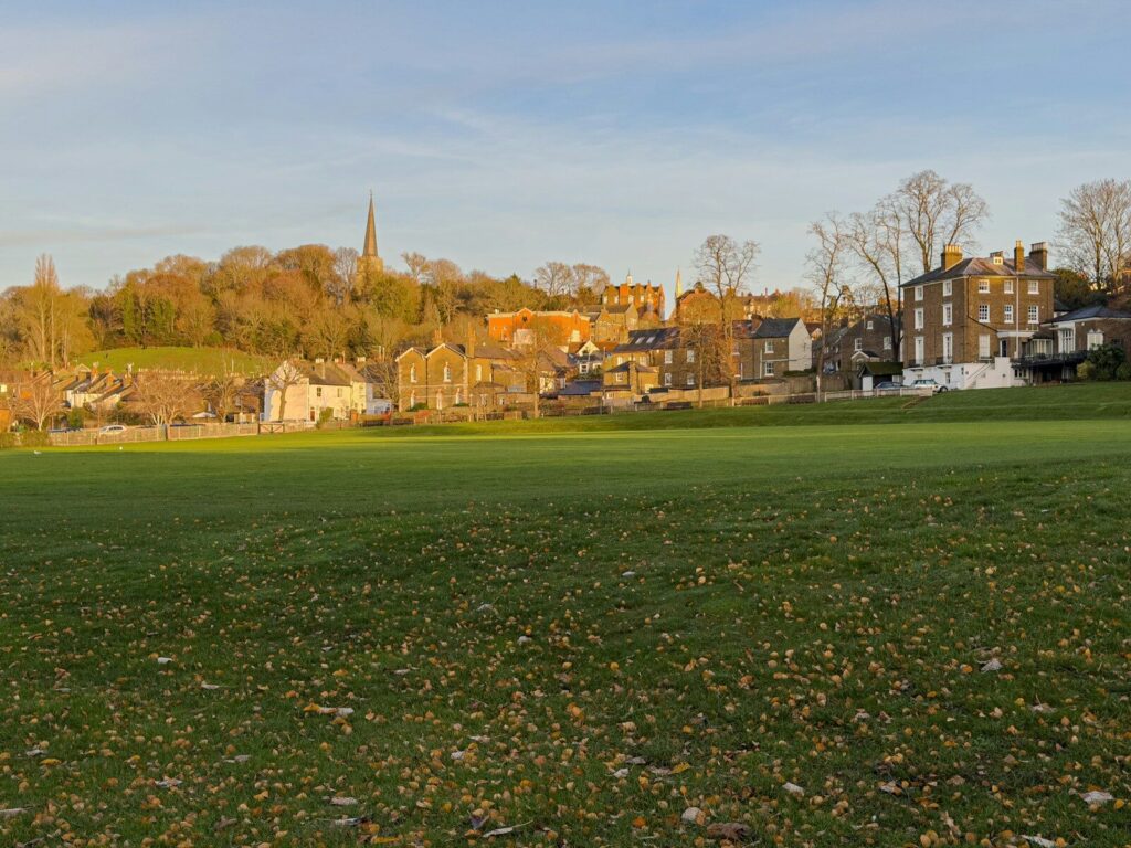 A sunny view of a town with a church spire.
